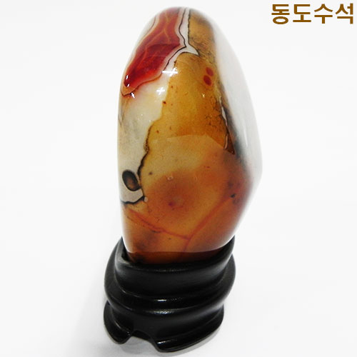 생각하는사람
