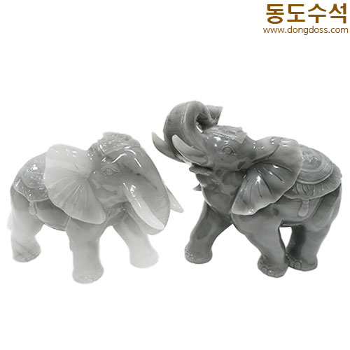 코끼리한쌍
