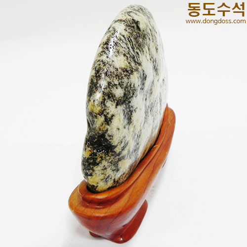 호피꽃