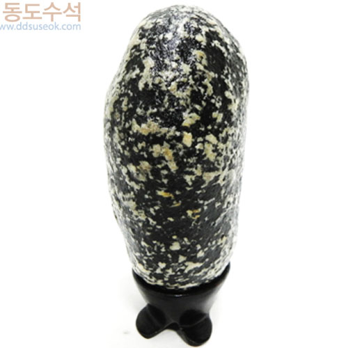 꽃피는들력