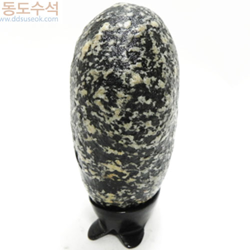 꽃피는들력