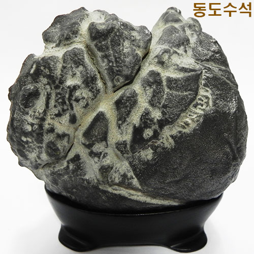 구갑석