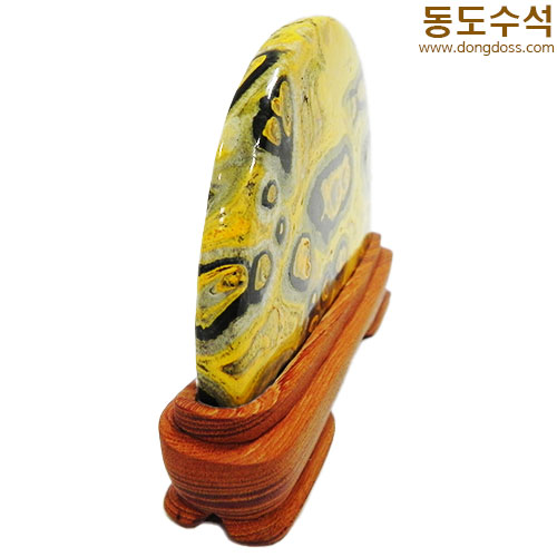 은행나무단풍