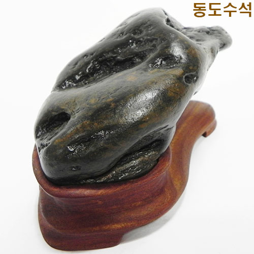 쬬코가브리