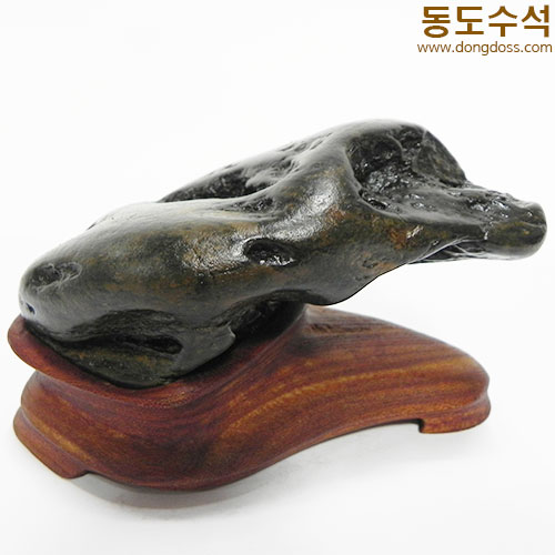 쬬코가브리