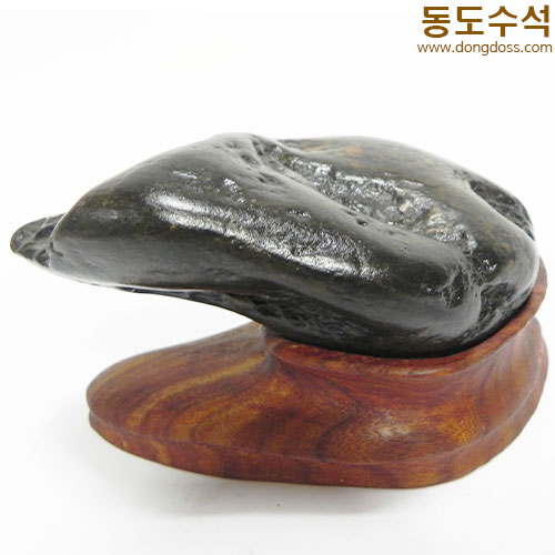쬬코가브리