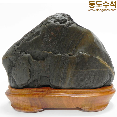 쬬코입경