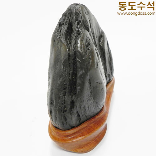 쬬코입경