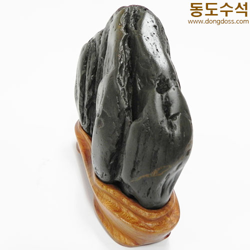 쬬코입경
