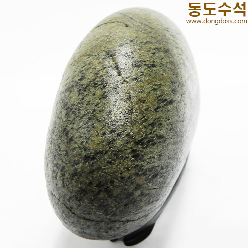 바다풍경어류때