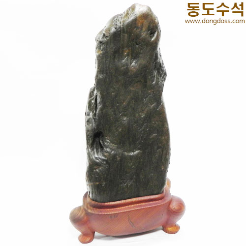 쬬코입석