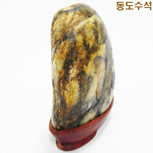 은행나무숲