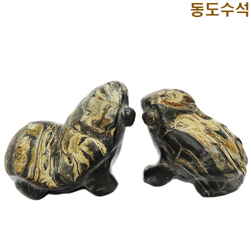 스트마틀라이트(미생물화석)